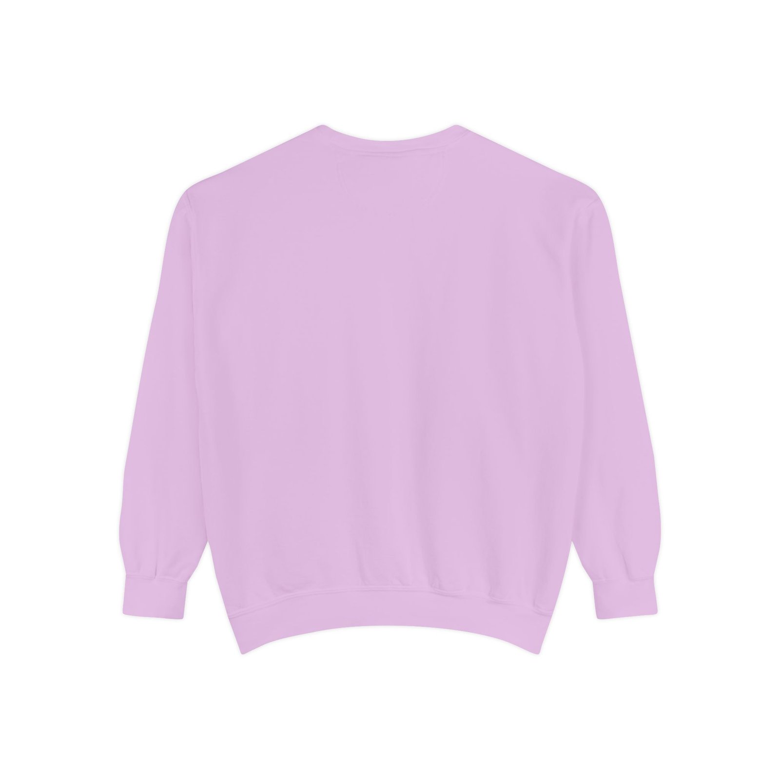 Kids Learning Crewneck Sweatshirt — 'StoryBFF: The Future of Kids Learning' Graphic - Image 92