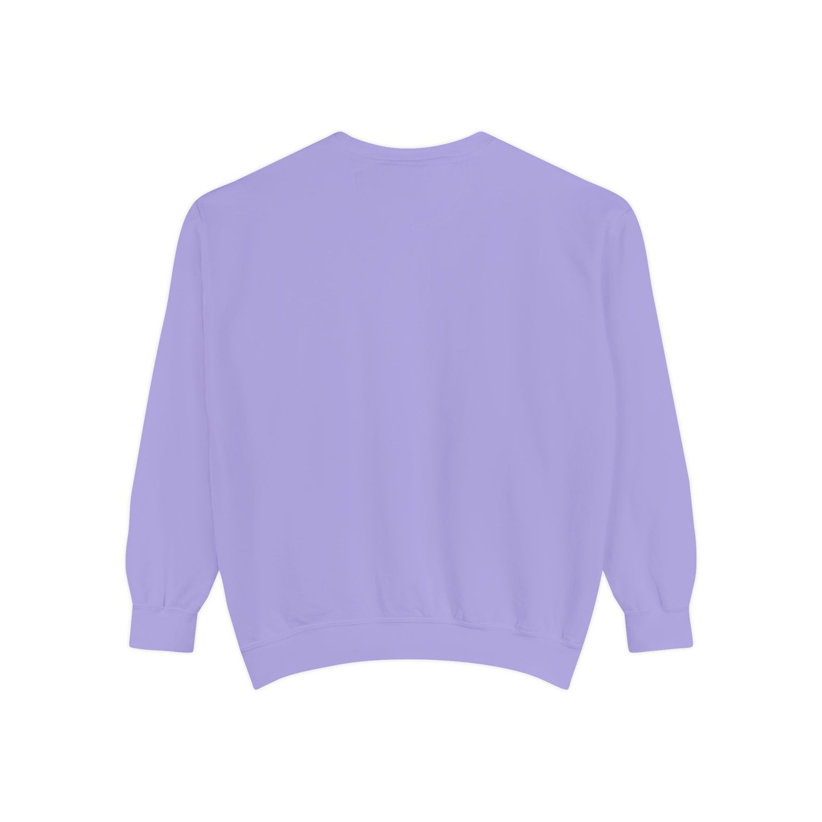 Kids Learning Crewneck Sweatshirt — 'StoryBFF: The Future of Kids Learning' Graphic - Image 86
