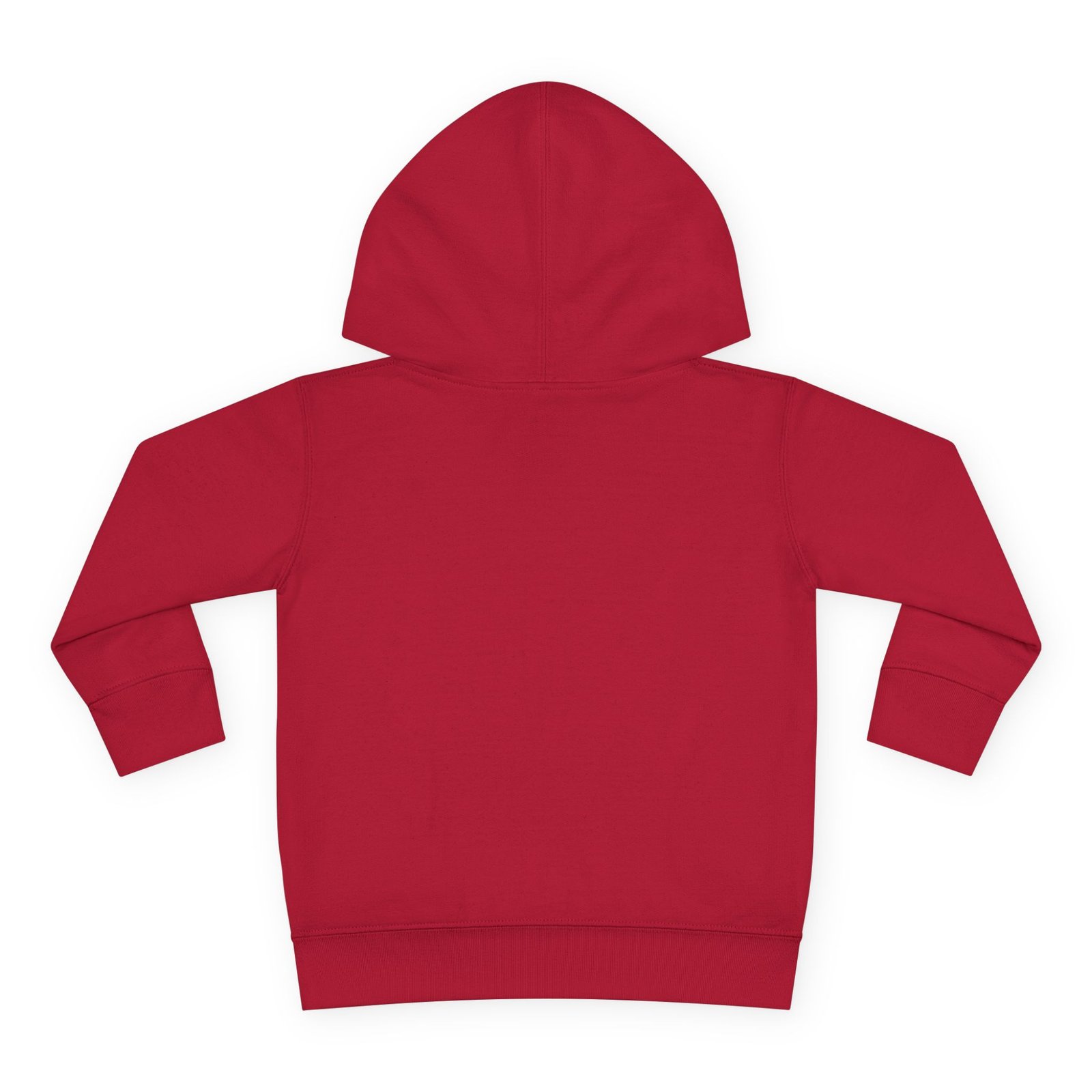 Toddler Pullover Fleece Hoodie__ "What Kids Say " - Image 62