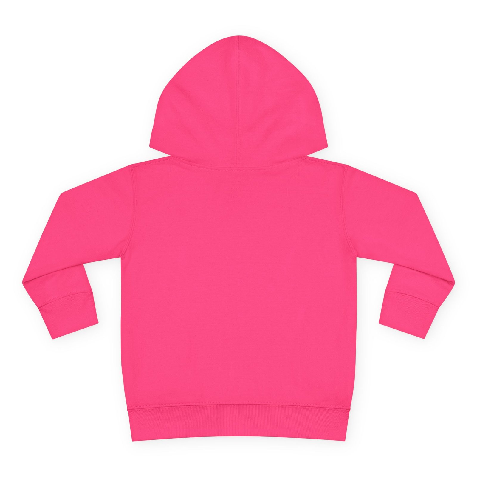 Toddler Pullover Fleece Hoodie__ "What Kids Say " - Image 54
