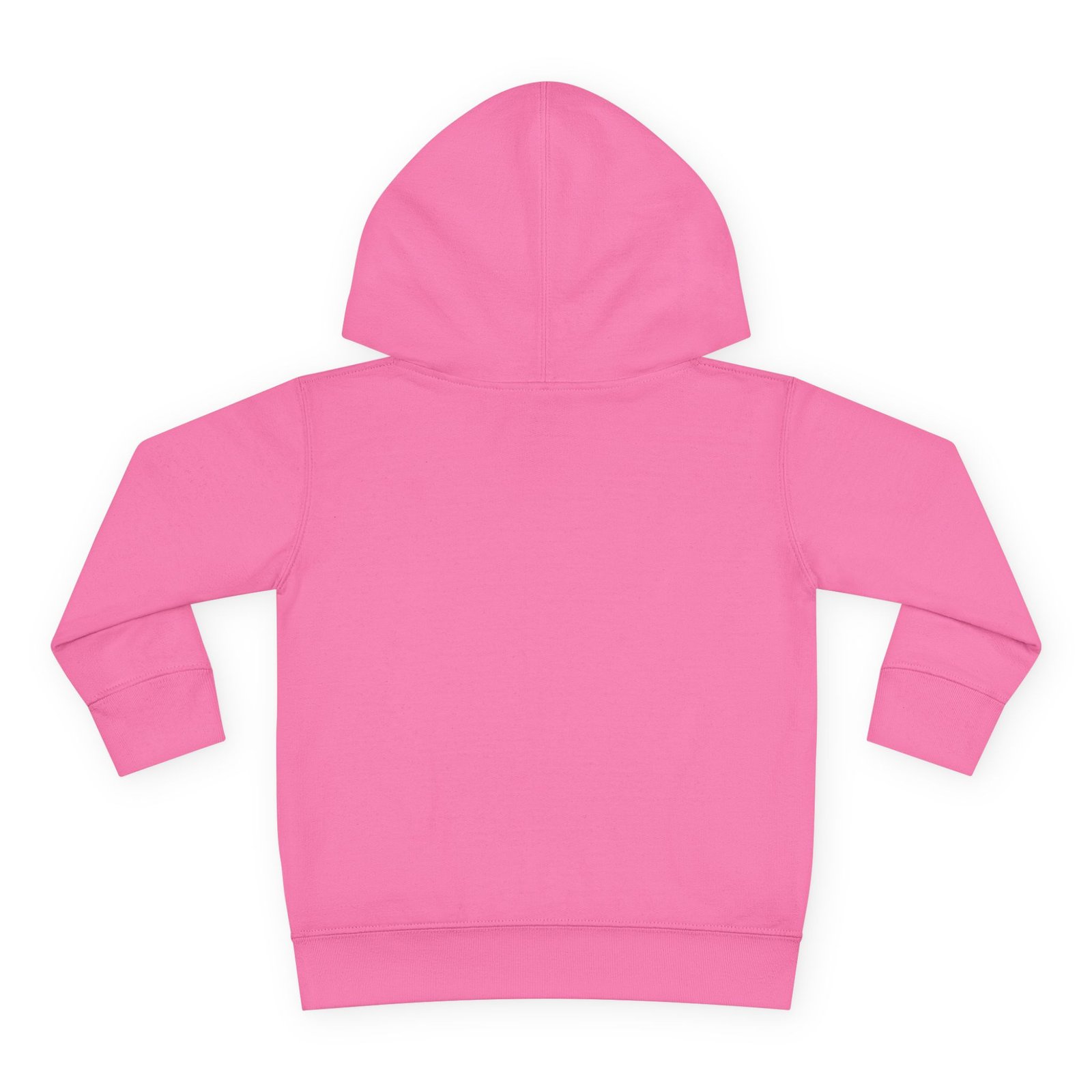 Toddler Pullover Fleece Hoodie__ "What Kids Say " - Image 50