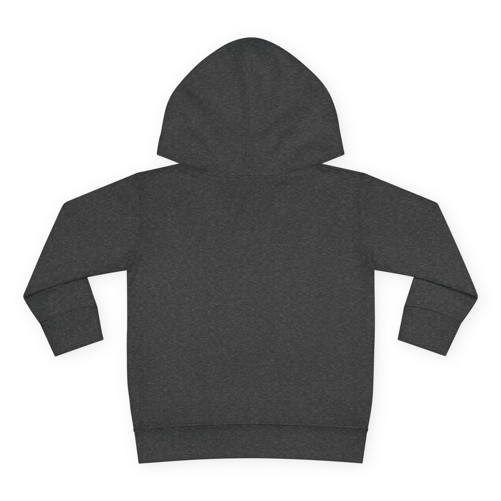 Toddler Pullover Fleece Hoodie__ "What Kids Say " - Image 30