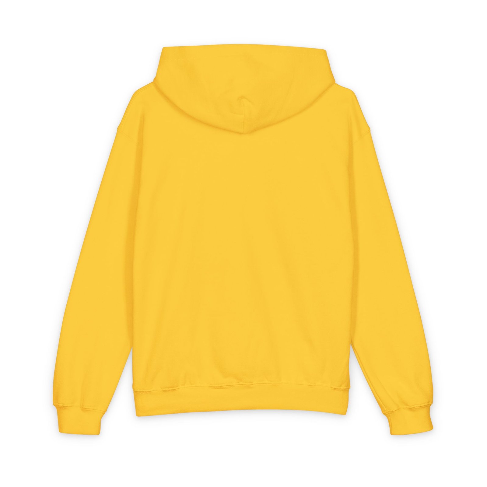Softstyle Youth Midweight Hooded Sweatshirt –Orky BFF kids learning - Image 22