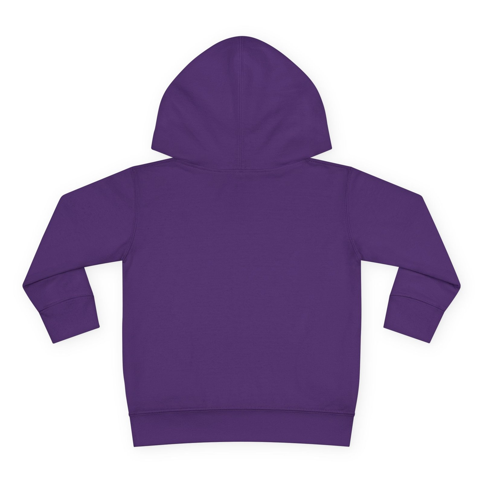 Toddler Pullover Fleece Hoodie__ "What Kids Say " - Image 42