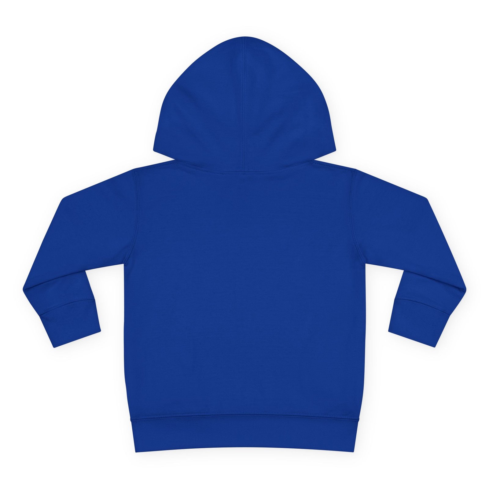 Toddler Pullover Fleece Hoodie__ "What Kids Say " - Image 26