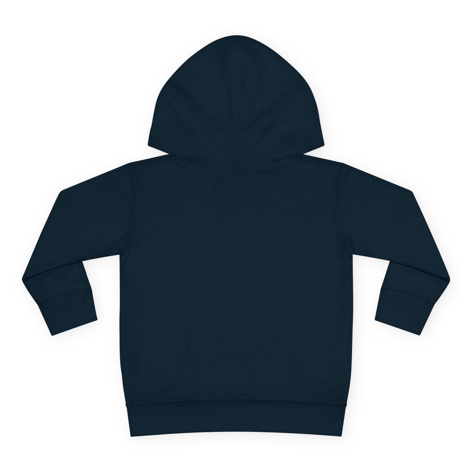 Toddler Pullover Fleece Hoodie__ "What Kids Say " - Image 38