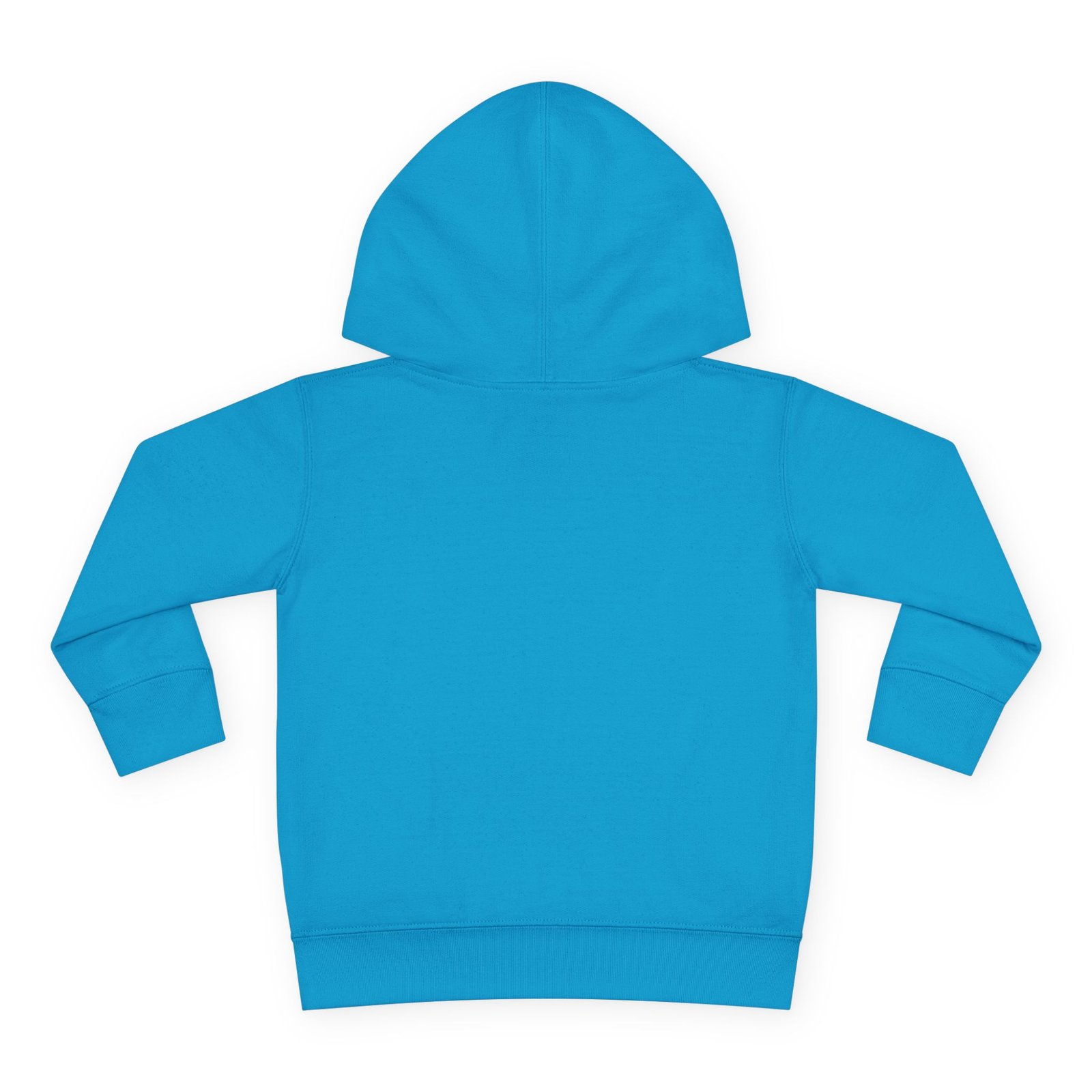 Toddler Pullover Fleece Hoodie__ "What Kids Say " - Image 22