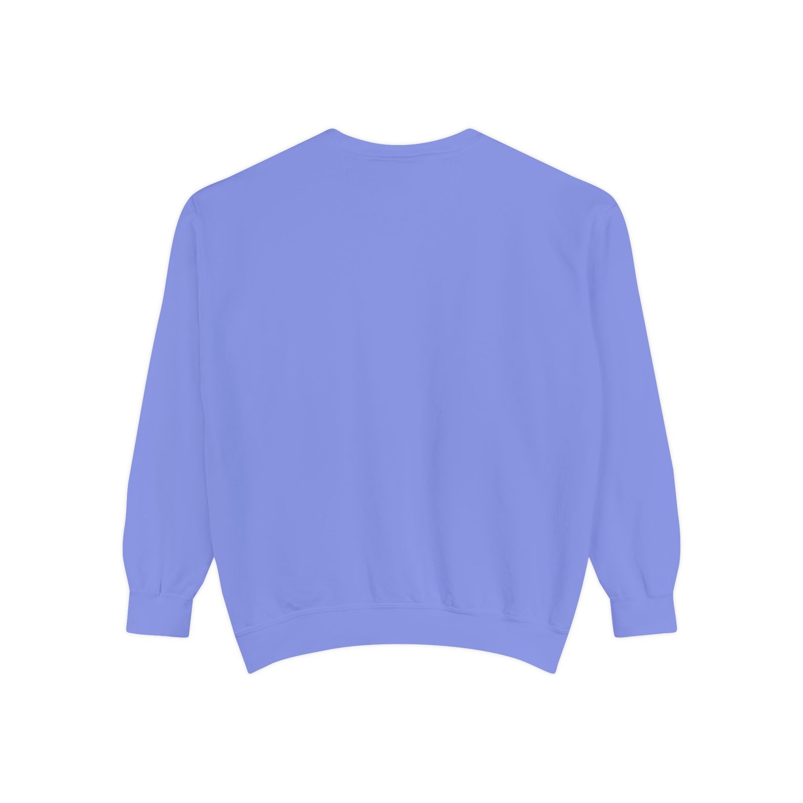 Kids Learning Crewneck Sweatshirt — 'StoryBFF: The Future of Kids Learning' Graphic - Image 62