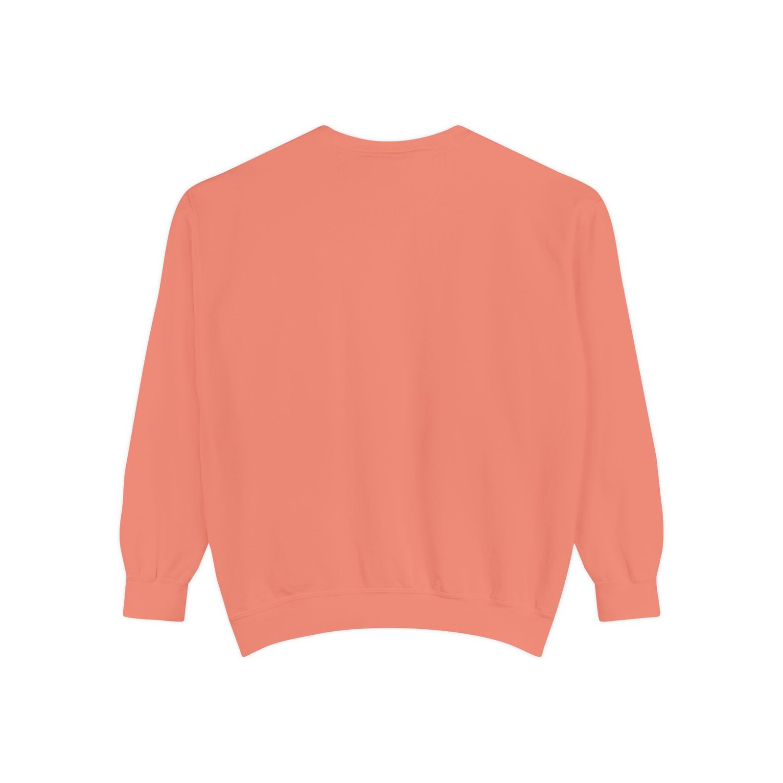 Kids Learning Crewneck Sweatshirt — 'StoryBFF: The Future of Kids Learning' Graphic - Image 8