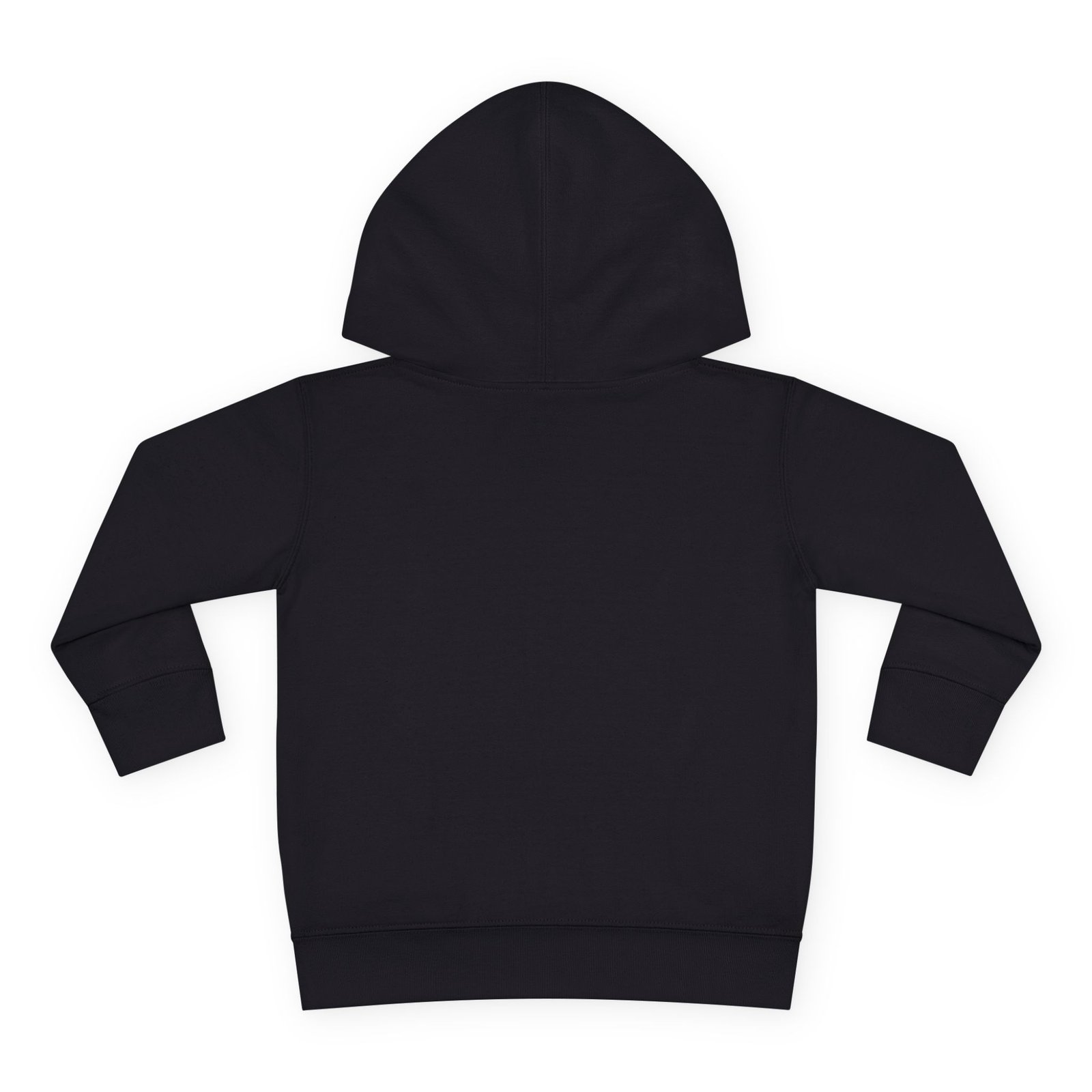 Toddler Pullover Fleece Hoodie__ "What Kids Say " - Image 34