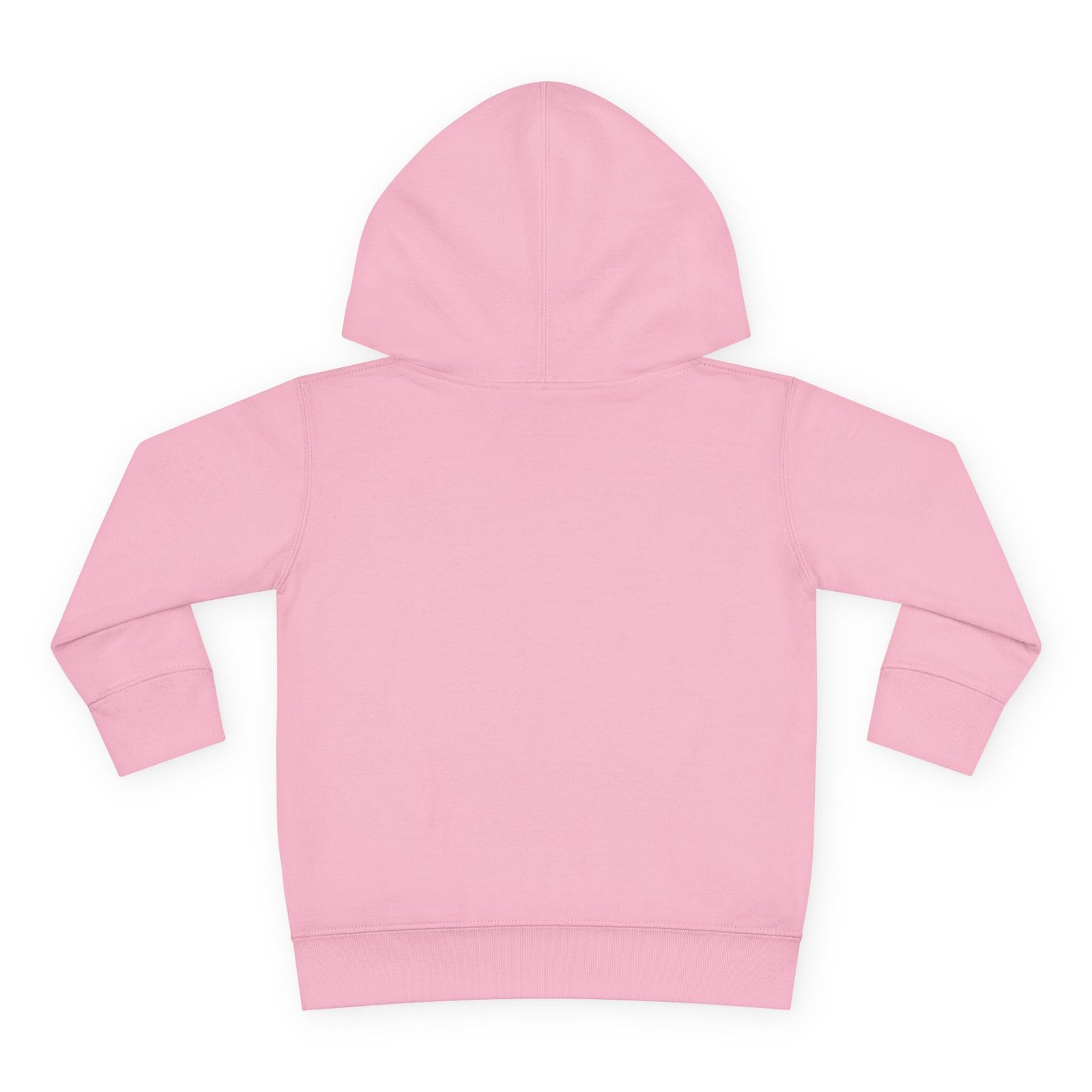 Toddler Pullover Fleece Hoodie__ "What Kids Say " - Image 46